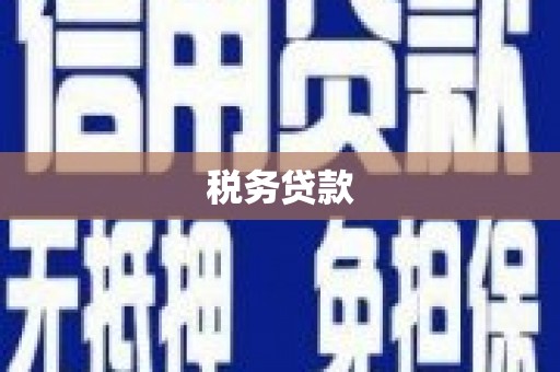 硚口税务贷款