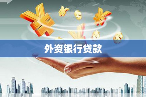 硚口外资银行贷款