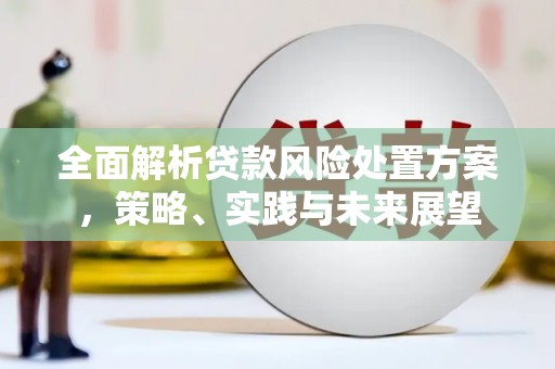硚口全面解析贷款风险处置方案，策略、实践与未来展望