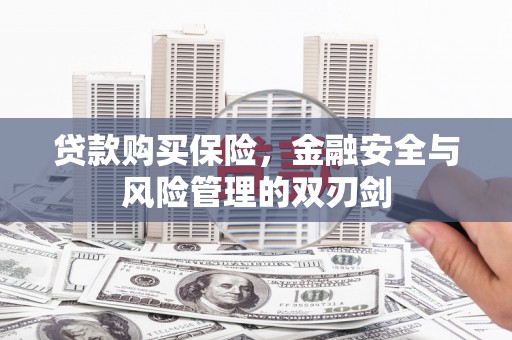 硚口贷款购买保险，金融安全与风险管理的双刃剑
