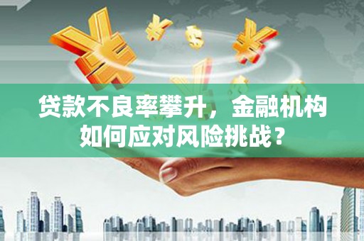 硚口贷款不良率攀升，金融机构如何应对风险挑战？