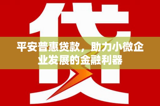硚口平安普惠贷款，助力小微企业发展的金融利器