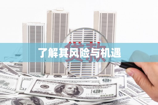 硚口了解其风险与机遇