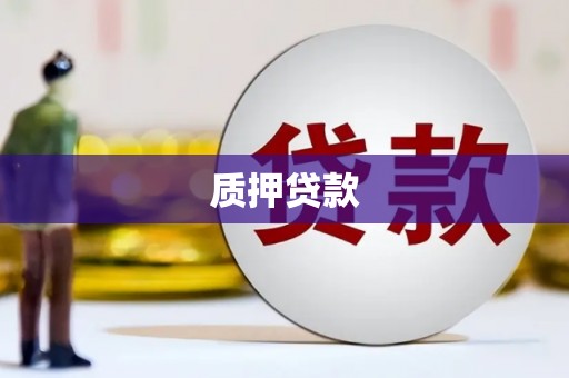 硚口质押贷款