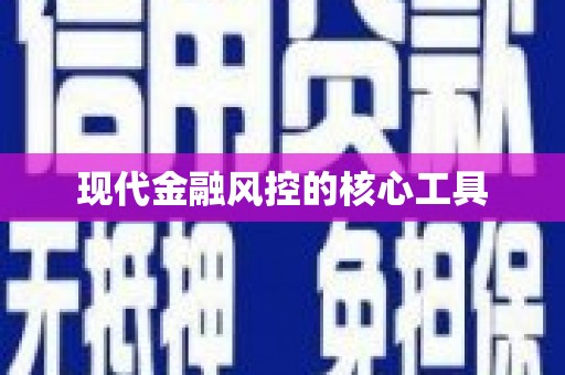 硚口现代金融风控的核心工具