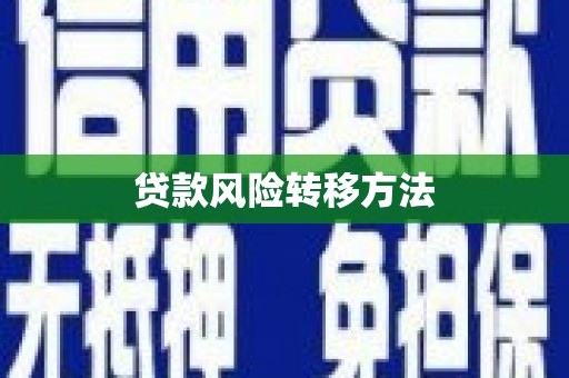 硚口贷款风险转移方法