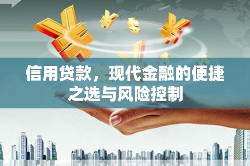 硚口信用贷款，现代金融的便捷之选与风险控制