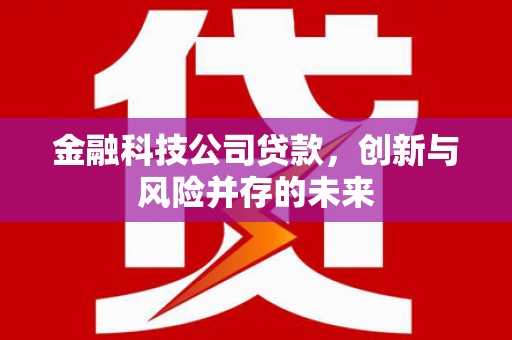 硚口金融科技公司贷款，创新与风险并存的未来