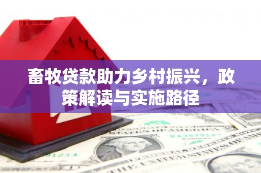 硚口畜牧贷款助力乡村振兴，政策解读与实施路径