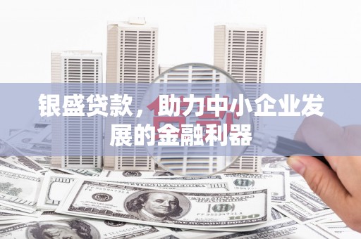 硚口银盛贷款，助力中小企业发展的金融利器