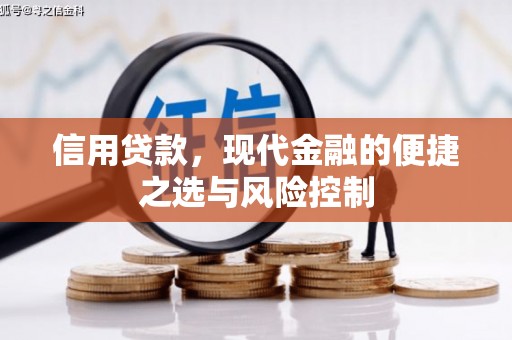 硚口信用贷款，现代金融的便捷之选与风险控制