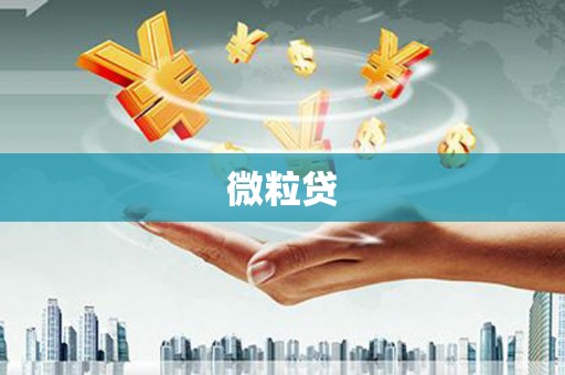 硚口微粒贷
