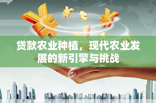 硚口贷款农业种植，现代农业发展的新引擎与挑战