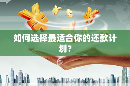 硚口如何选择最适合你的还款计划？