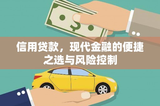 硚口信用贷款，现代金融的便捷之选与风险控制