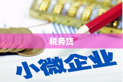 硚口税务贷