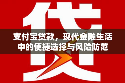 硚口支付宝贷款，现代金融生活中的便捷选择与风险防范