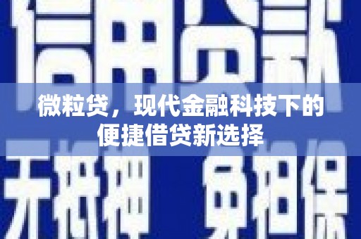 硚口微粒贷，现代金融科技下的便捷借贷新选择