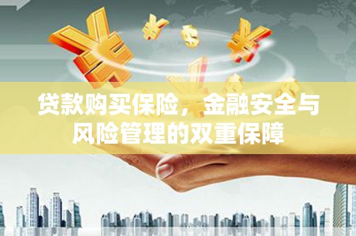 硚口贷款购买保险，金融安全与风险管理的双重保障