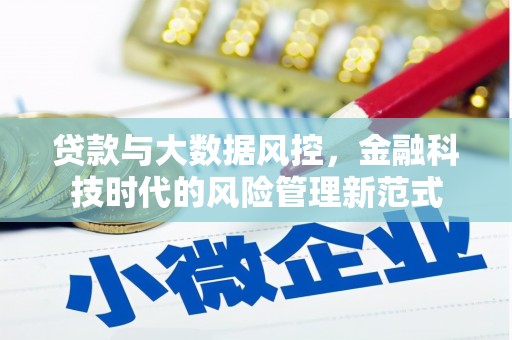 硚口贷款与大数据风控，金融科技时代的风险管理新范式