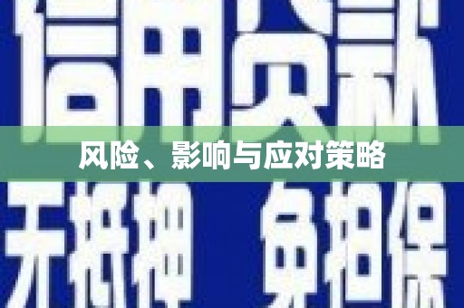 硚口风险、影响与应对策略