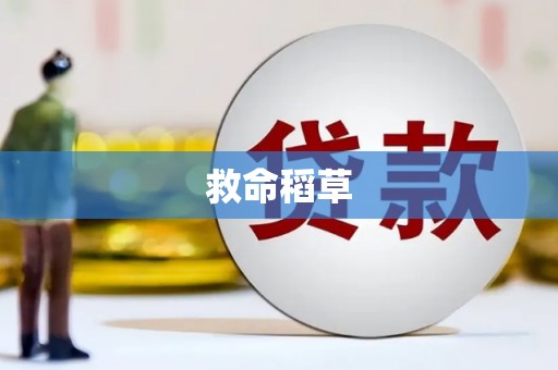 硚口救命稻草
