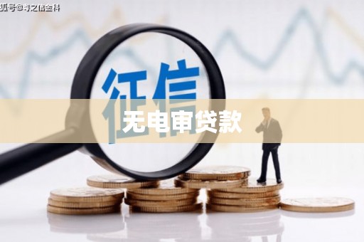 硚口无电审贷款