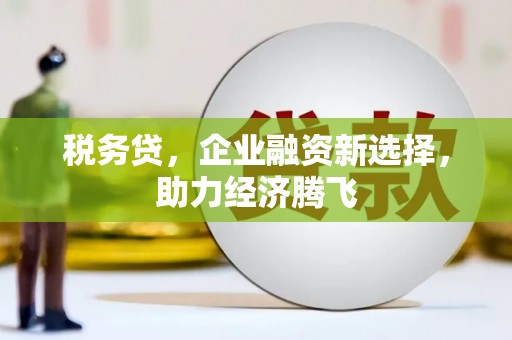 硚口税务贷，企业融资新选择，助力经济腾飞