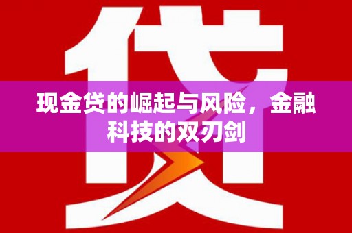 硚口现金贷的崛起与风险，金融科技的双刃剑