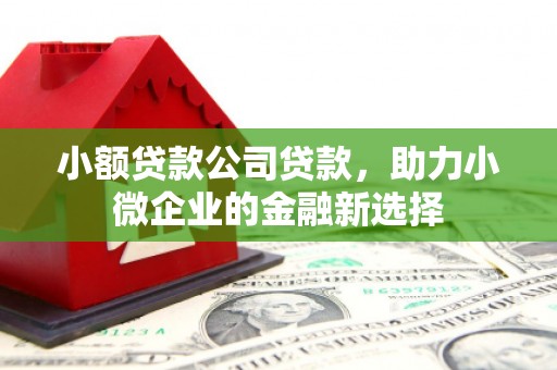 硚口小额贷款公司贷款，助力小微企业的金融新选择