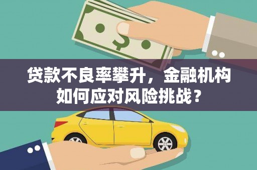 硚口贷款不良率攀升，金融机构如何应对风险挑战？