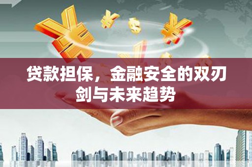 硚口贷款担保，金融安全的双刃剑与未来趋势