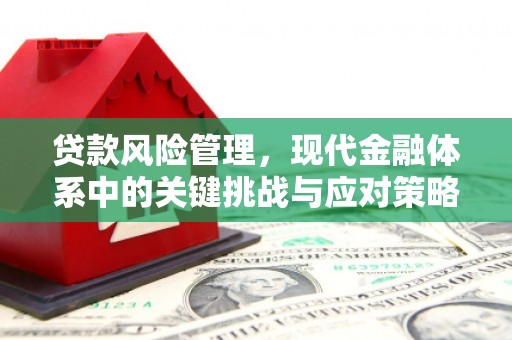 硚口贷款风险管理，现代金融体系中的关键挑战与应对策略