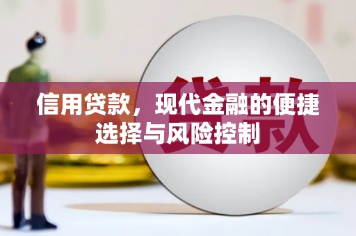 硚口信用贷款，现代金融的便捷选择与风险控制