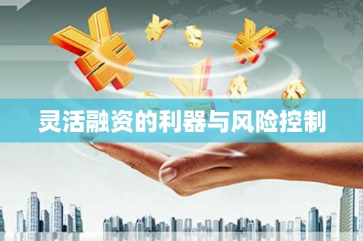 硚口灵活融资的利器与风险控制