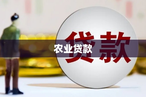 硚口农业贷款