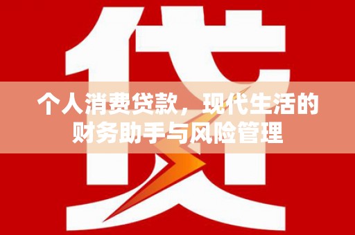 硚口个人消费贷款，现代生活的财务助手与风险管理