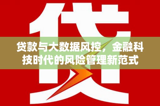 硚口贷款与大数据风控，金融科技时代的风险管理新范式