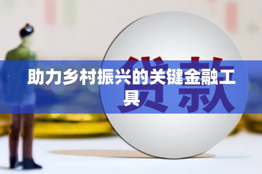 硚口助力乡村振兴的关键金融工具