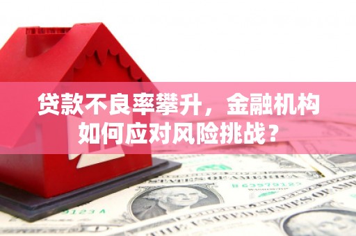硚口贷款不良率攀升，金融机构如何应对风险挑战？