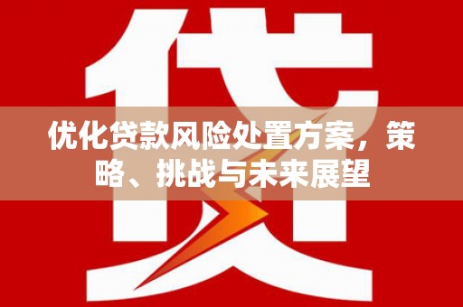 硚口优化贷款风险处置方案，策略、挑战与未来展望