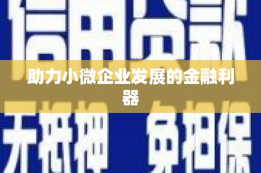 硚口助力小微企业发展的金融利器