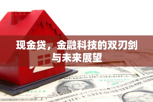 硚口现金贷，金融科技的双刃剑与未来展望