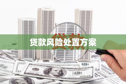 硚口贷款风险处置方案
