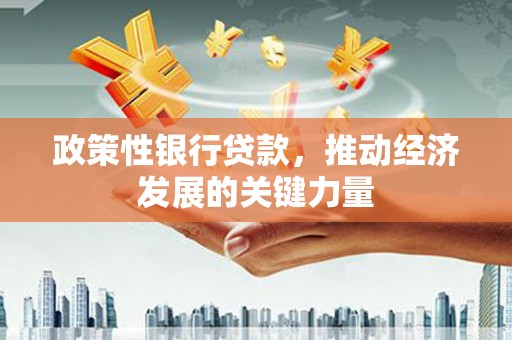 硚口政策性银行贷款，推动经济发展的关键力量