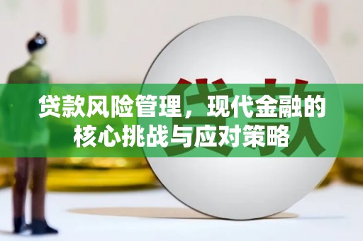 硚口贷款风险管理，现代金融的核心挑战与应对策略