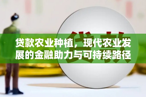 硚口贷款农业种植，现代农业发展的金融助力与可持续路径