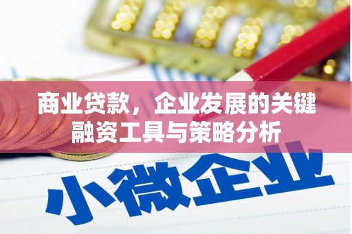 硚口商业贷款，企业发展的关键融资工具与策略分析