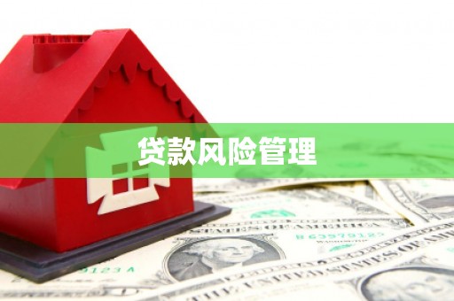 硚口贷款风险管理