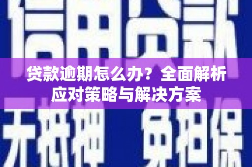 硚口贷款逾期怎么办？全面解析应对策略与解决方案